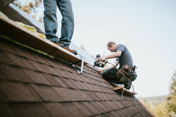 Best Flat Roof Repair Services  in North Catasauqua, PA